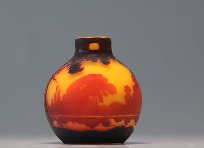 Muller frères lampe boule à décor paysage
Poids:...