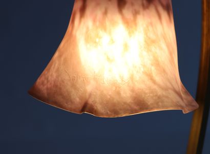 Paire de lampes, pied en bronze de Charles...