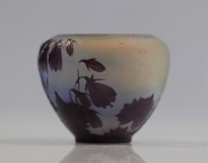 Emile Gallé vase à décor de fleurs
Poids:...