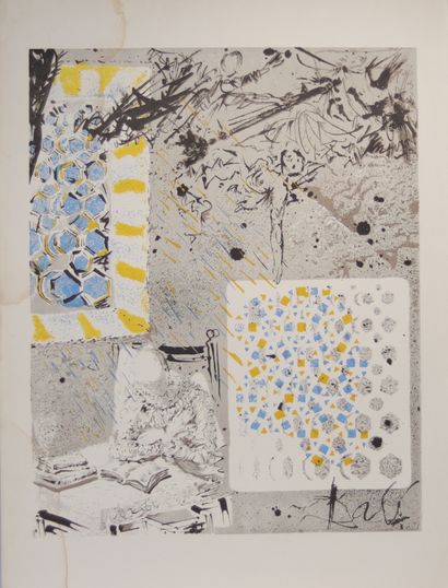 Salvador Dali. Rêverie de Don Quichotte....