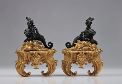 Paire de chenets en bronze à deux patine...