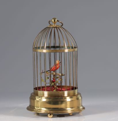 Cage oiseau chanteur
Poids: 1.00 kg
Dimensions:...