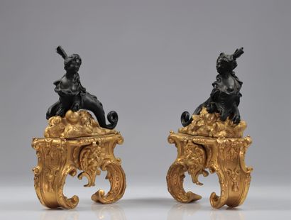 Paire de chenets en bronze à deux patine...