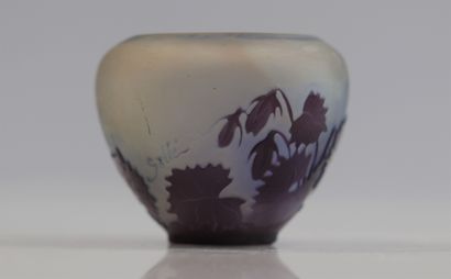 Emile Gallé vase à décor de fleurs
Poids:...