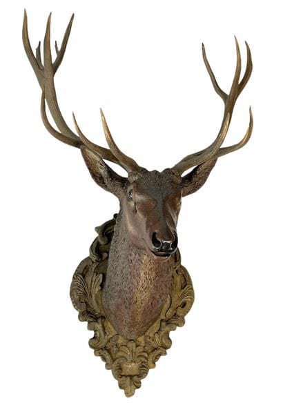 Rare imposante tête de cerf en bois - (h...