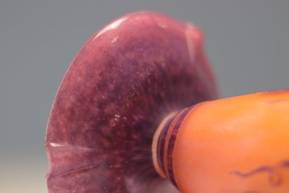 Le verre Français lampe à décor de raisins
Poids:...