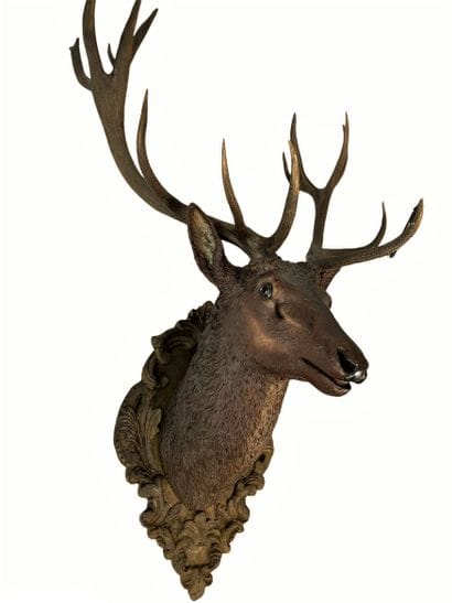 Rare imposante tête de cerf en bois - (h...