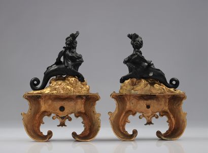 Paire de chenets en bronze à deux patine...