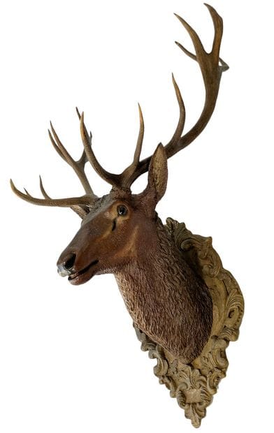 Rare imposante tête de cerf en bois - (h...