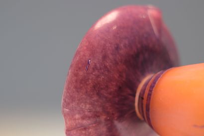 Le verre Français lampe à décor de raisins
Poids:...