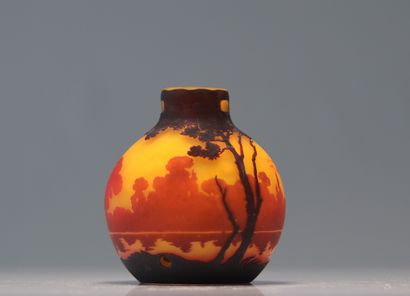 Muller frères lampe boule à décor paysage
Poids:...