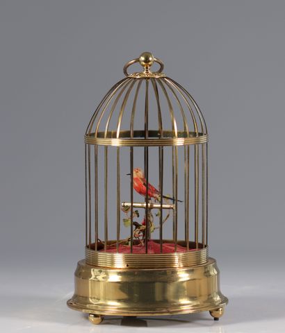 Cage oiseau chanteur
Poids: 1.00 kg
Dimensions:...