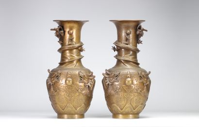 Pair of large Chinese bronze vases decorated...