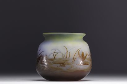 Émile GALLÉ (1846-1904) - Vase aux Nénuphars...
