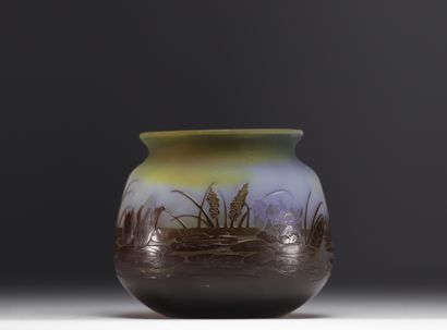 Émile GALLÉ (1846-1904) - Vase aux Nénuphars...