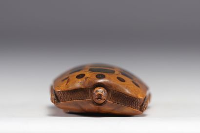 Rare boîte à priser en forme de tortue sculptée...