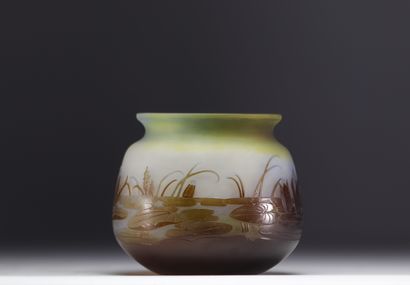 Émile GALLÉ (1846-1904) - Vase aux Nénuphars...