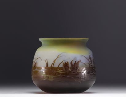 Émile GALLÉ (1846-1904) - Vase aux Nénuphars...