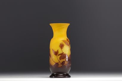 Émile GALLÉ (1846-1904) - Vase à décor floral...
