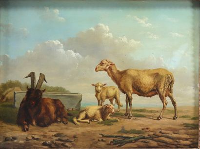 Eugène VERBOECKHOVEN (1798/99-1881) 