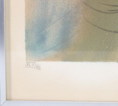 Salvador DALI (1904 - 1989) 