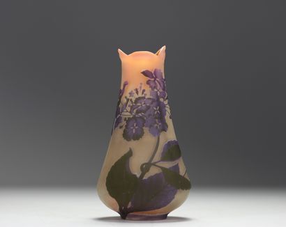 Émile GALLÉ (1846-1904) Vase en verre multicouche...