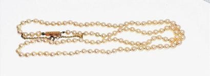 COLLIER de perles Akoya ø4mm choker, fermoir...