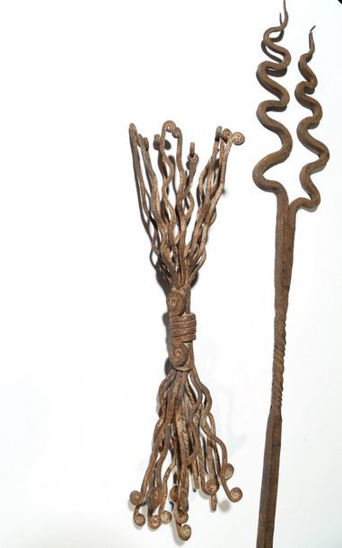Two cult irons / Primitive coins

Mumuye,...