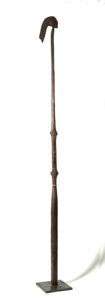 Long-handled hoe

Djerma, Burkina Faso /...