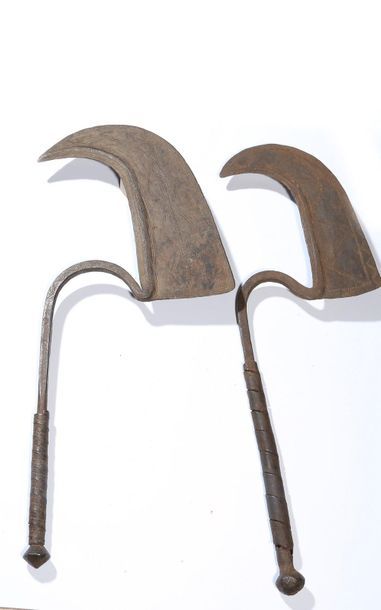 Sickle weapon

Dadyla-Tula. Nigeria

Set...