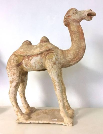 Terracotta camel with polychrome traces,...