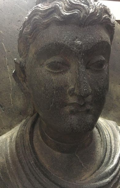 Buddha haloed with his hairstyle in fine...
