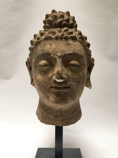 Stucco Buddha head. 
 
Greco-Buddhist Art...