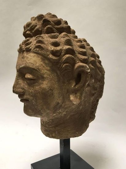 Stucco Buddha head. 
 
Greco-Buddhist Art...