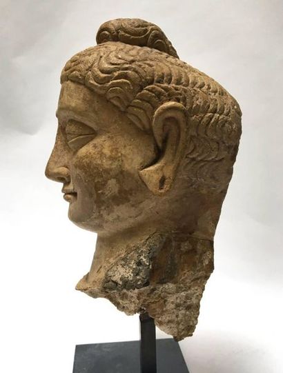Stucco Buddha head. 
 
Greco-Buddhist Art...