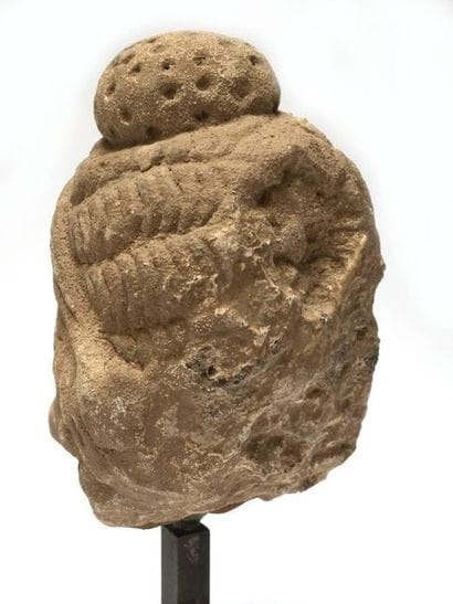 Stucco maid's head. 
 
Greco-Buddhist Art...