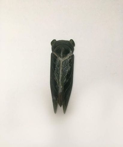 Dark green jade cicada. The eyes, wings and...