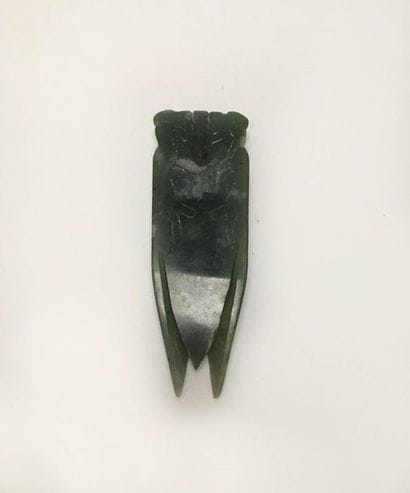 Dark green jade cicada. The eyes, wings and...