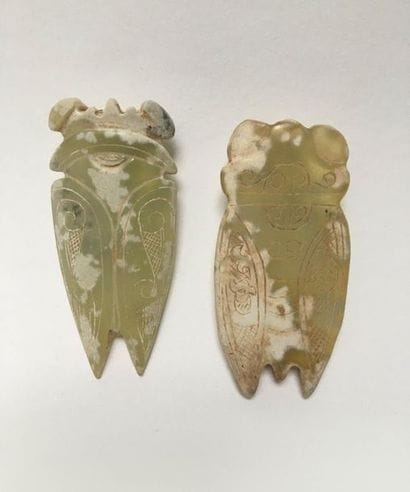 Two cicadas in green jade partially calcified...