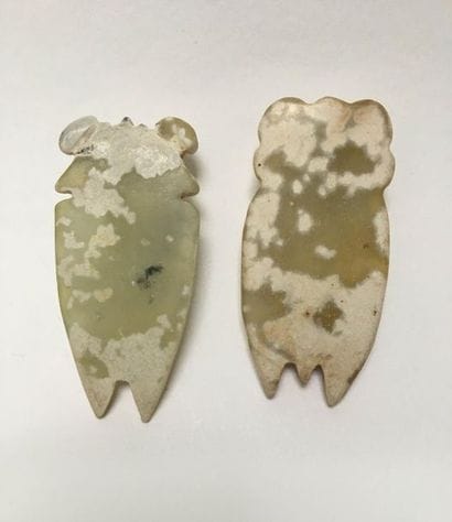 Two cicadas in green jade partially calcified...