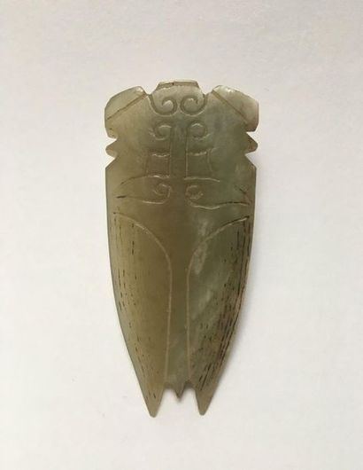 Green jade cicada. The eyes, wings and abdomen...