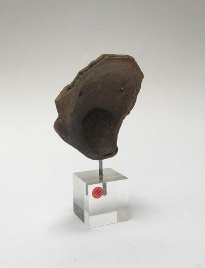 Fragmented monkey head in grey terracotta...