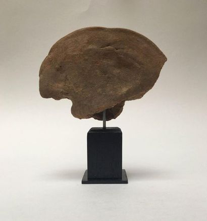 Dignitary's head in beige terracotta with...