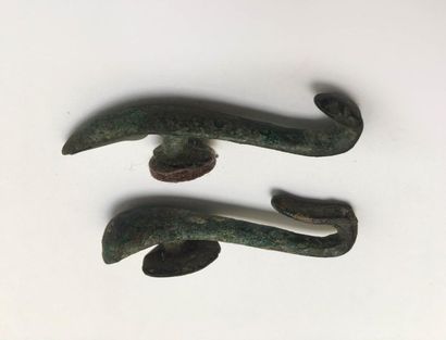 Set of two curved fibulas in the shape of...