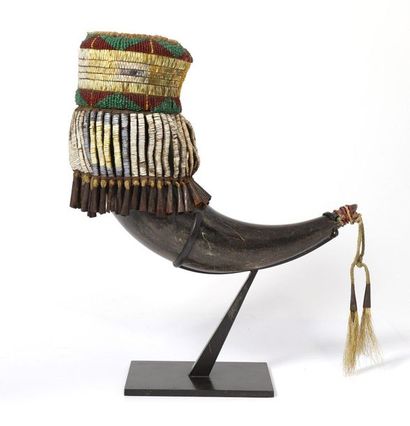 Drinking horn made of herbivore horn, leather,...