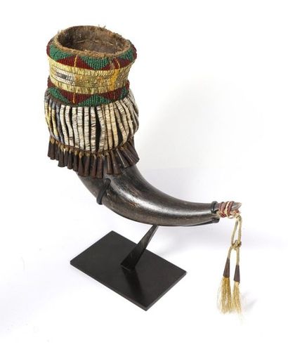 Drinking horn made of herbivore horn, leather,...