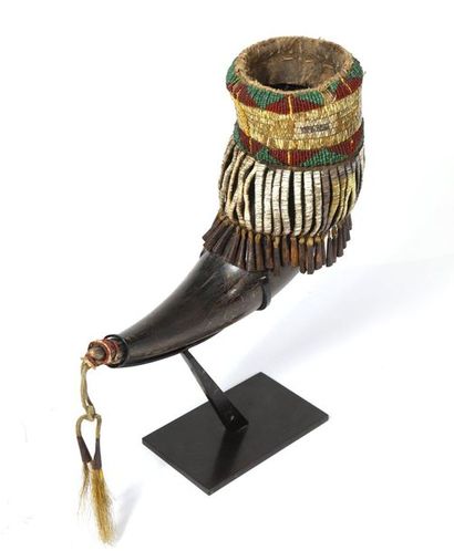 Drinking horn made of herbivore horn, leather,...