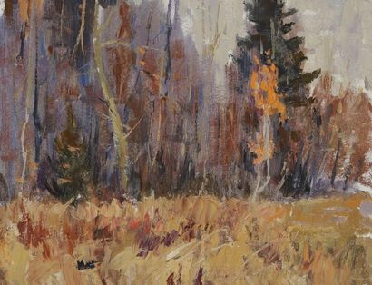 Vladimir Petrovich TOMILOVSKY (1901-1990)

Forest...