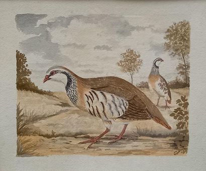 Jean MAILLARD

Pheasant and Perdeaux

Pair...