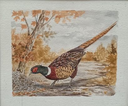 Jean MAILLARD

Pheasant and Perdeaux

Pair...